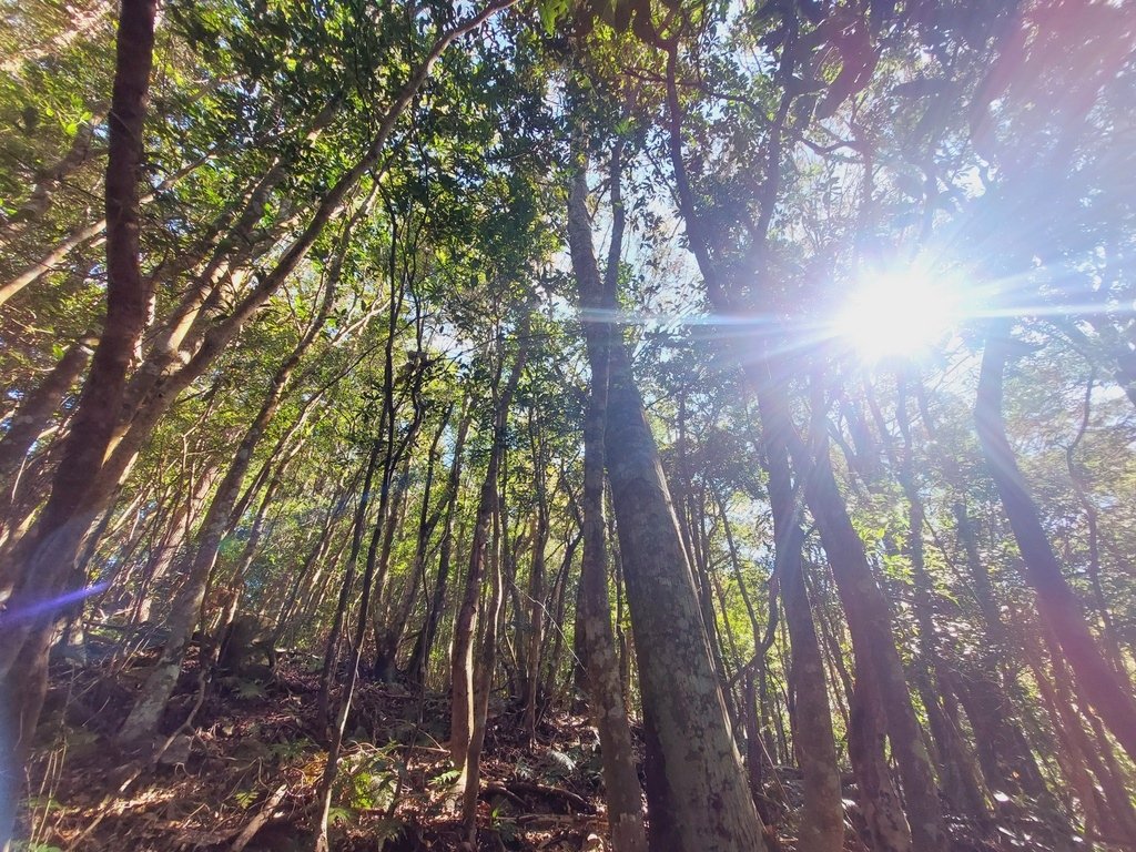 【苗栗泰安】水雲三星之鳥嘴山(上島山)