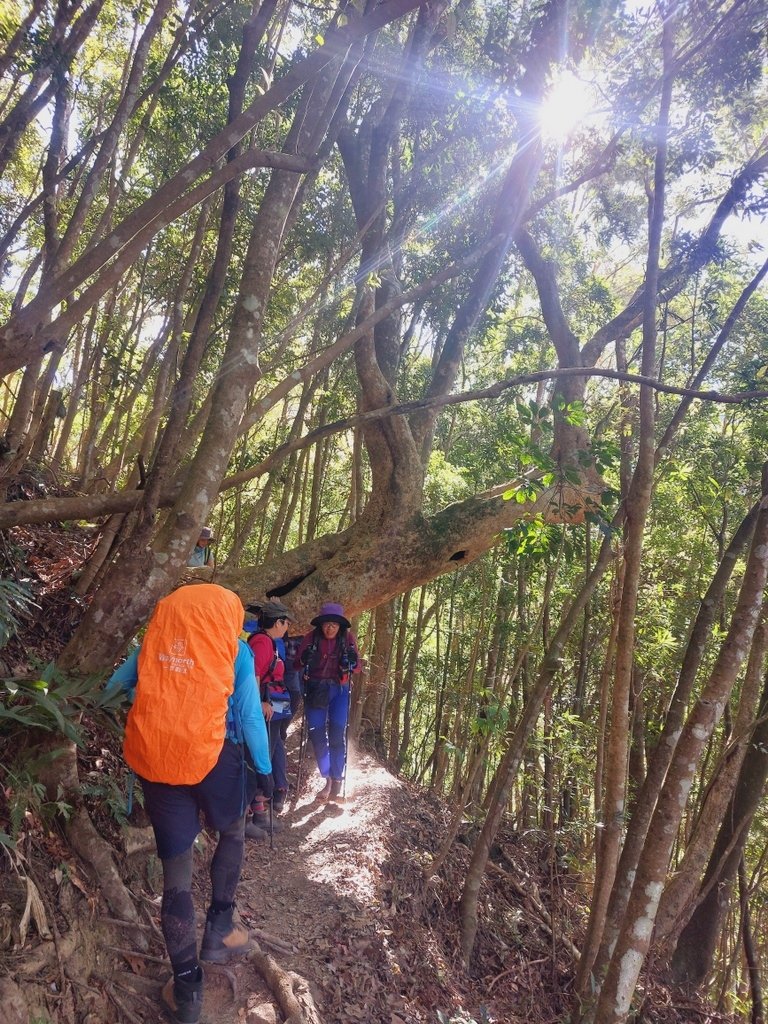 【苗栗泰安】水雲三星之鳥嘴山(上島山)