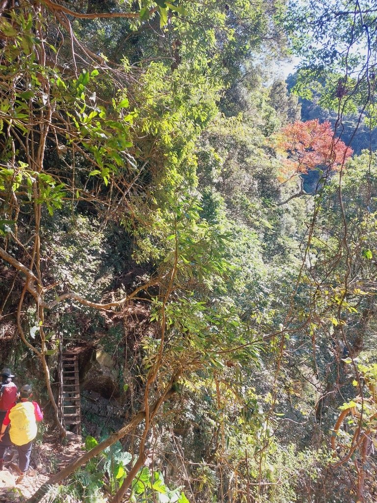 【苗栗泰安】水雲三星之鳥嘴山(上島山)