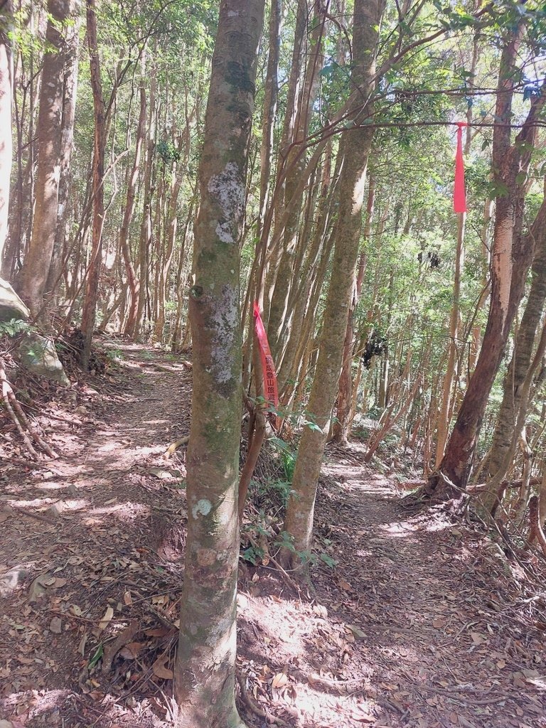 【苗栗泰安】水雲三星之鳥嘴山(上島山)