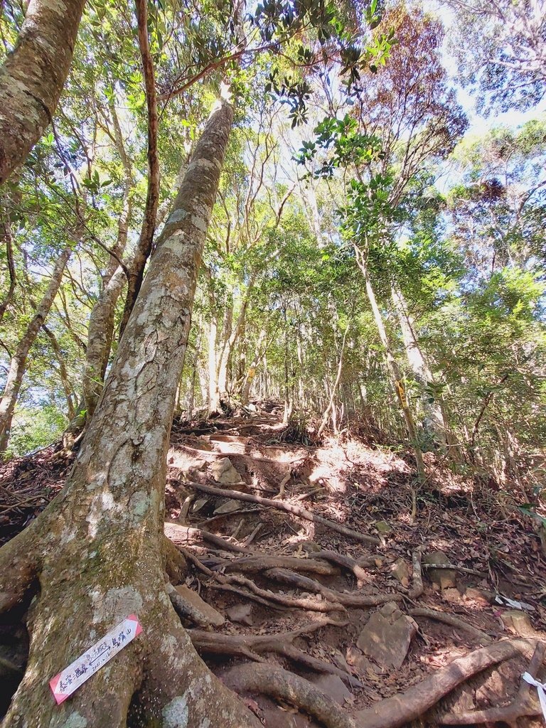 【苗栗泰安】水雲三星之鳥嘴山(上島山)