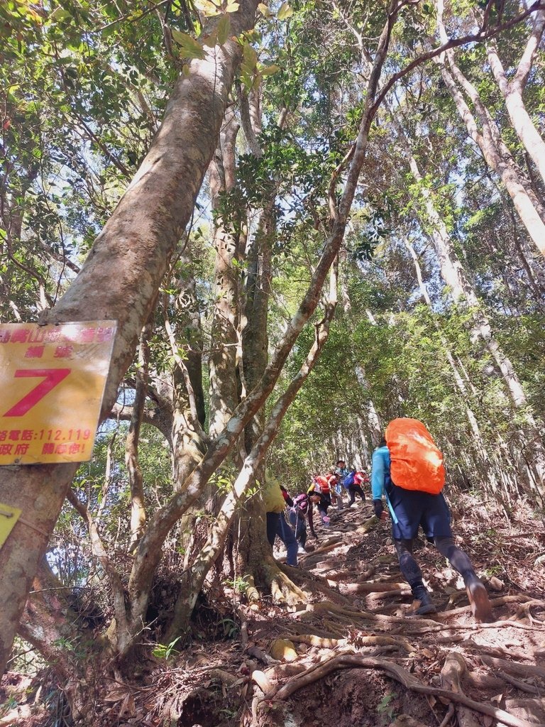 【苗栗泰安】水雲三星之鳥嘴山(上島山)