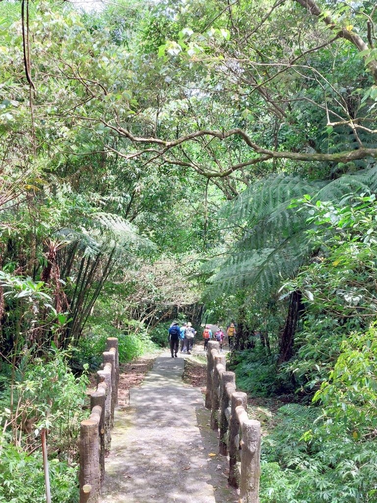 【基隆暖暖】淡蘭古道中路第一段：暖東峽谷至十分老街