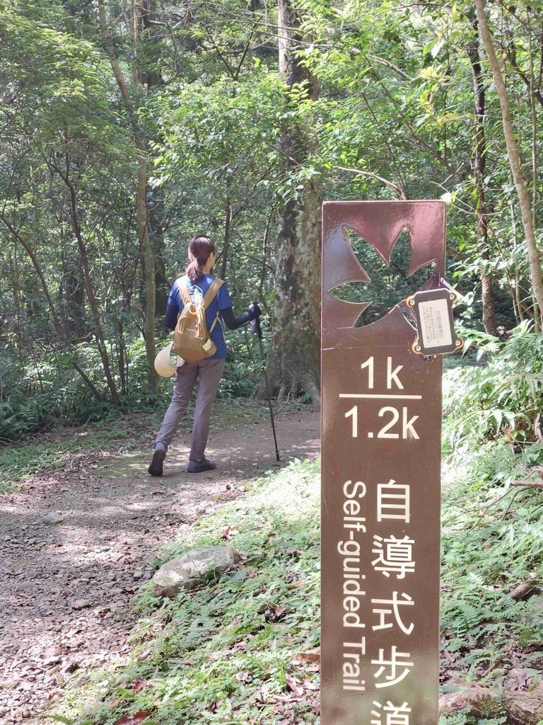 【新北三峽】滿月圓走步道賞瀑布吸收芬多精