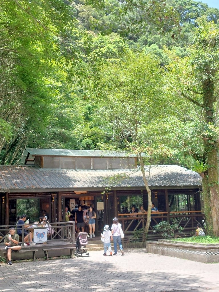 【新北三峽】滿月圓走步道賞瀑布吸收芬多精