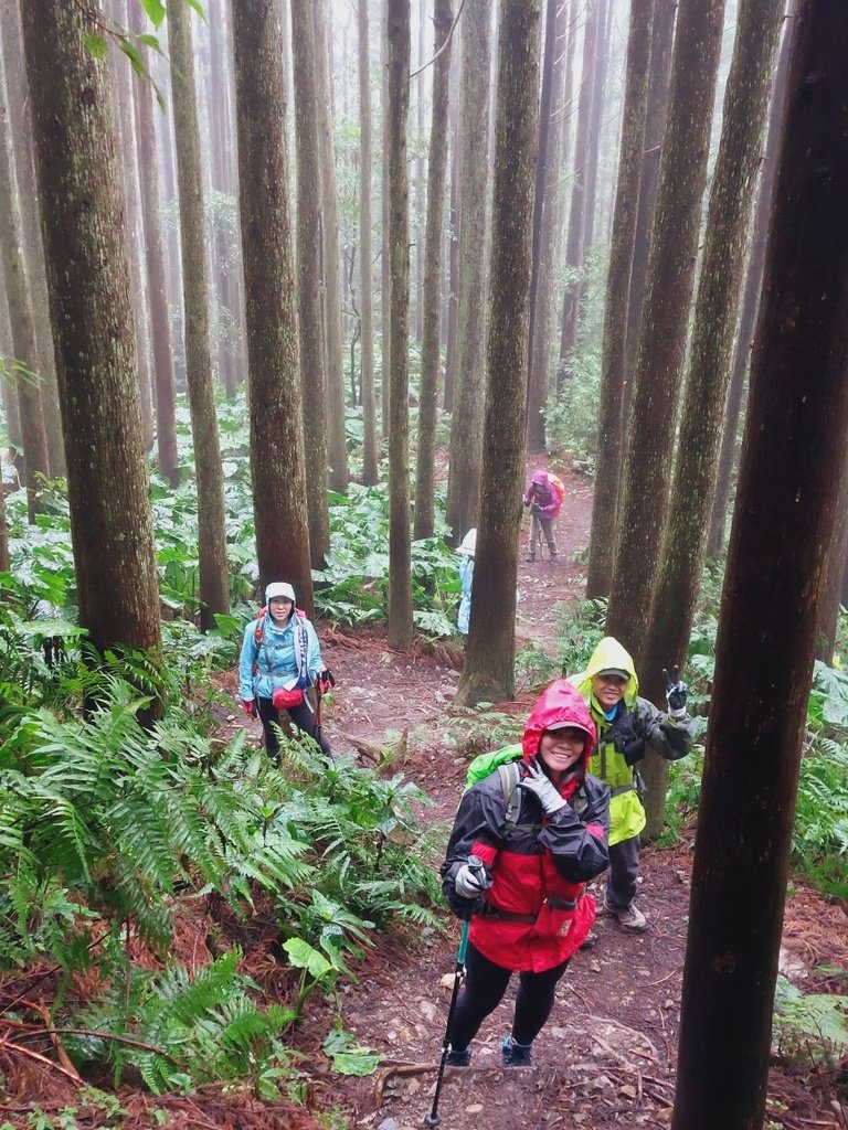 【新竹尖石】高島縱走未竟之旅