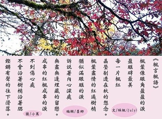 楓言楓語~踩楓