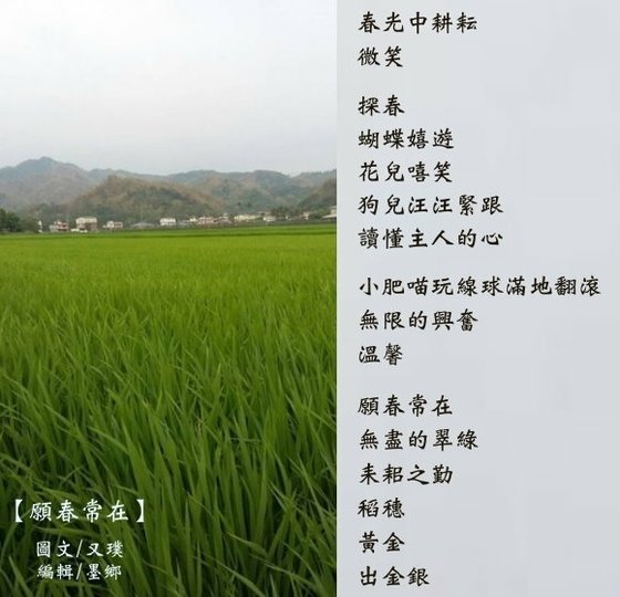 願春常在~又璞