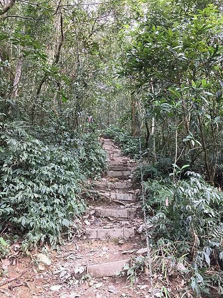 【屏東三地門】掰咖奮戰尾寮山