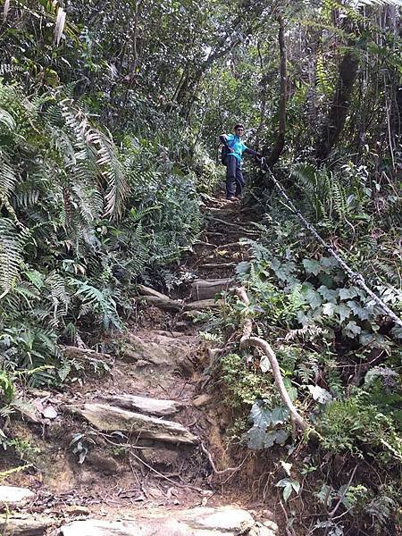 【屏東三地門】掰咖奮戰尾寮山