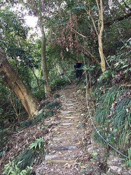 【屏東三地門】掰咖奮戰尾寮山