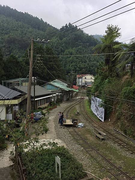 【嘉義阿里山】十字路-來吉步道2.2K回返