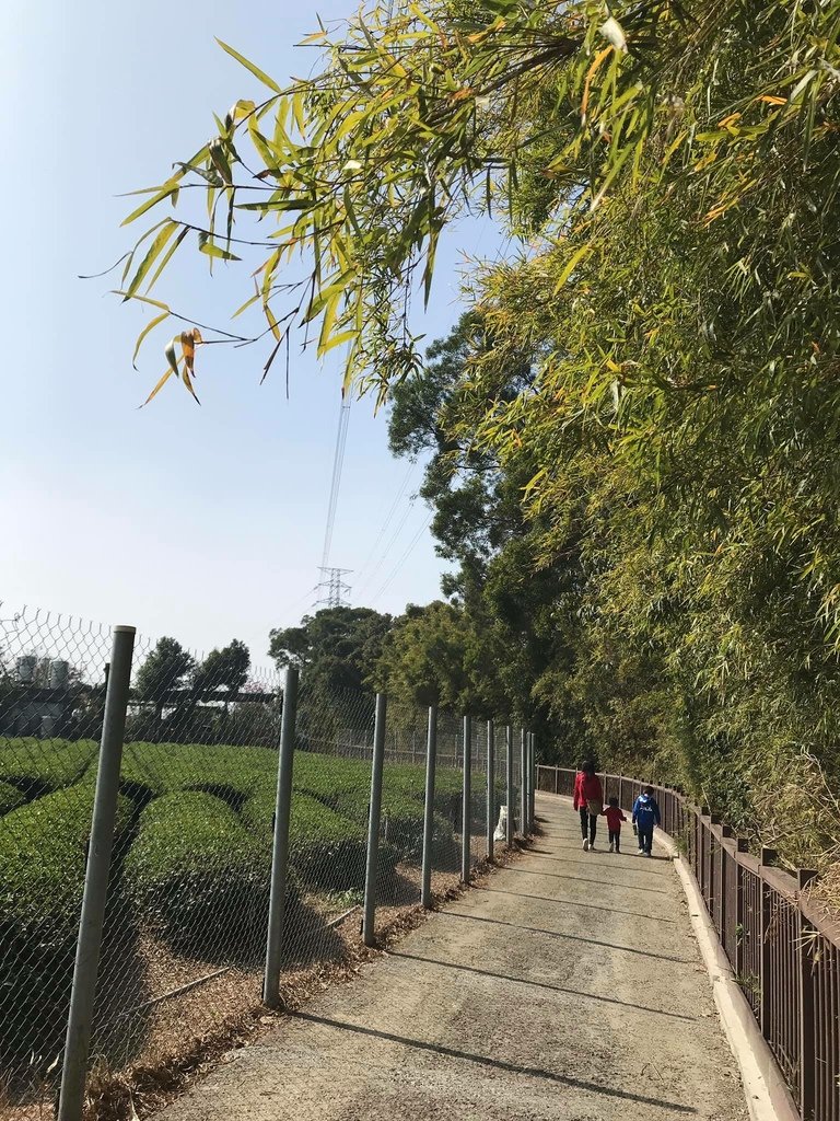 【彰化社頭】十八彎古道&amp;中央嶺造林步道環線