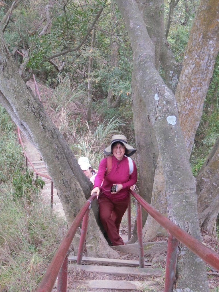【彰化社頭】十八彎古道&amp;中央嶺造林步道環線