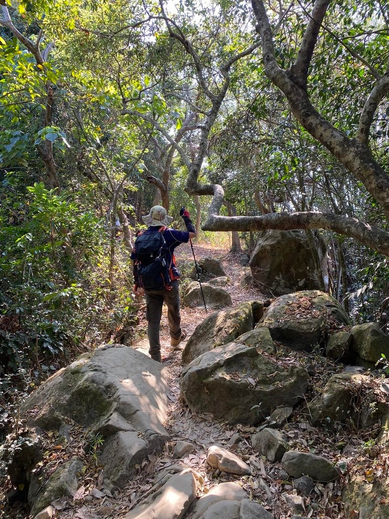 【高雄旗山】旗尾山