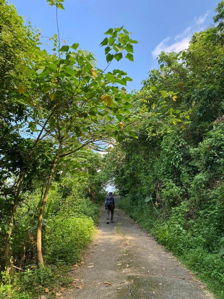 【台南南化】烏山南段:石松子山-紫竹寺-王爺崙山稜線來回
