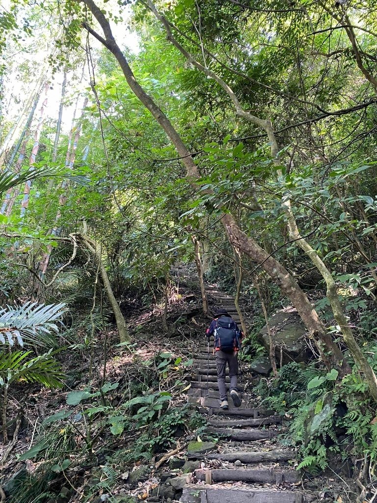 【台南南化】烏山南段:石松子山-紫竹寺-王爺崙山稜線來回