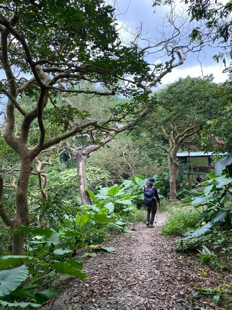 【台南南化】烏山南段:石松子山-紫竹寺-王爺崙山稜線來回