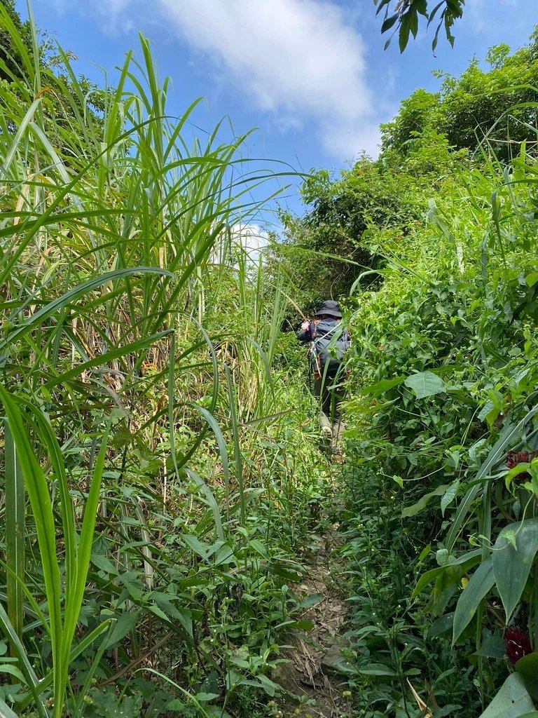 【台南南化】烏山南段:石松子山-紫竹寺-王爺崙山稜線來回