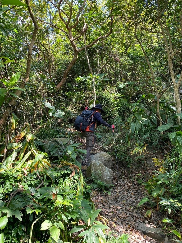 【台南南化】烏山南段:石松子山-紫竹寺-王爺崙山稜線來回