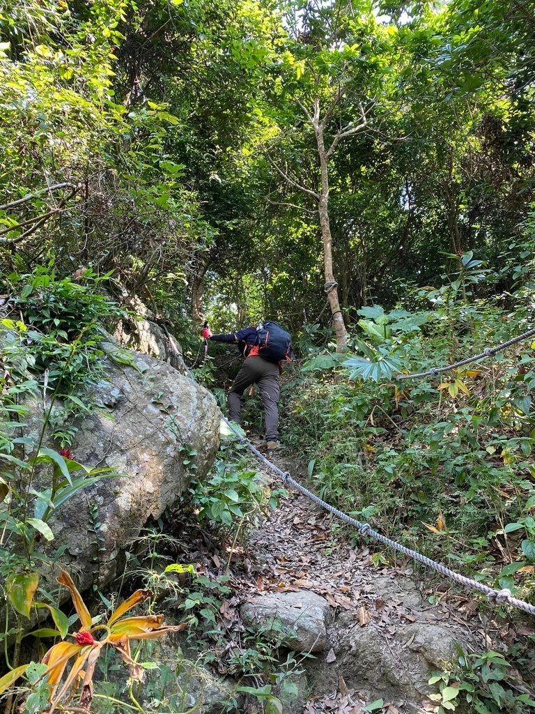 【台南南化】烏山南段:石松子山-紫竹寺-王爺崙山稜線來回