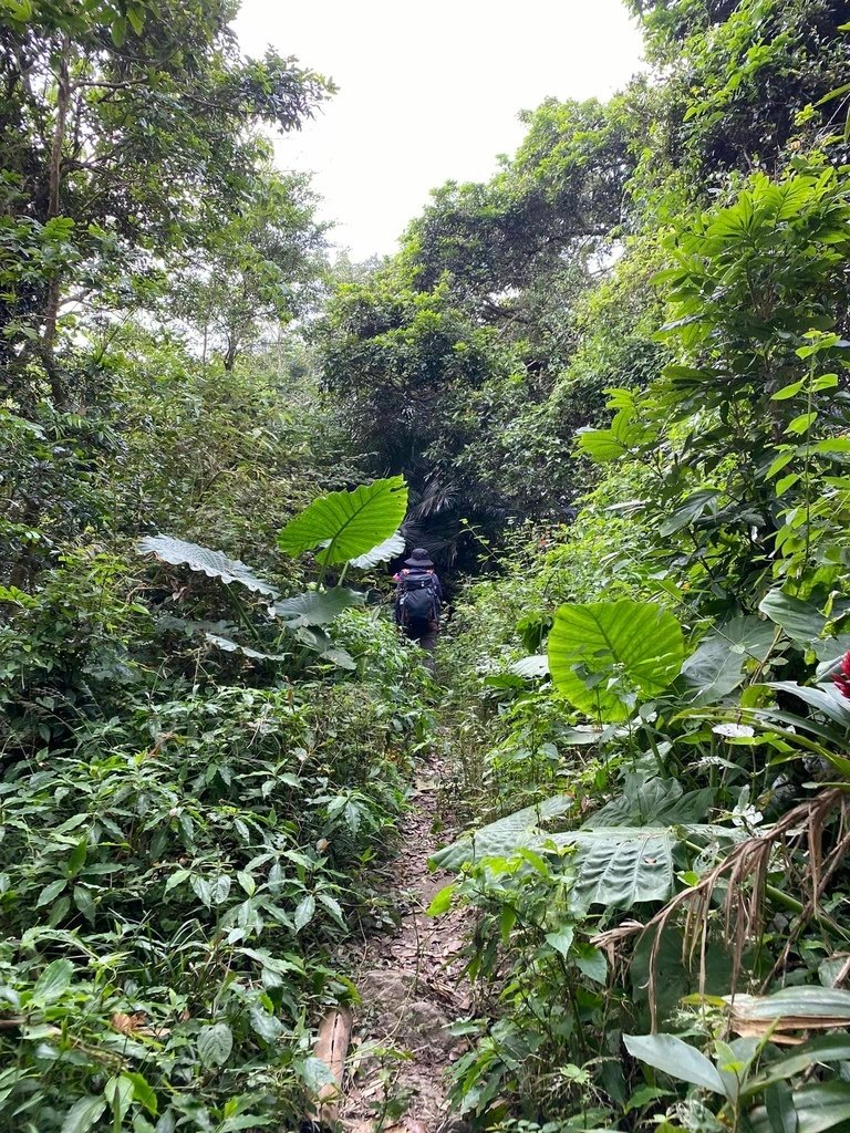 【台南南化】烏山南段:石松子山-紫竹寺-王爺崙山稜線來回