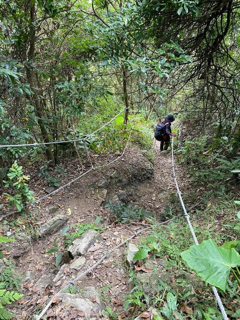 【台南南化】烏山南段:石松子山-紫竹寺-王爺崙山稜線來回
