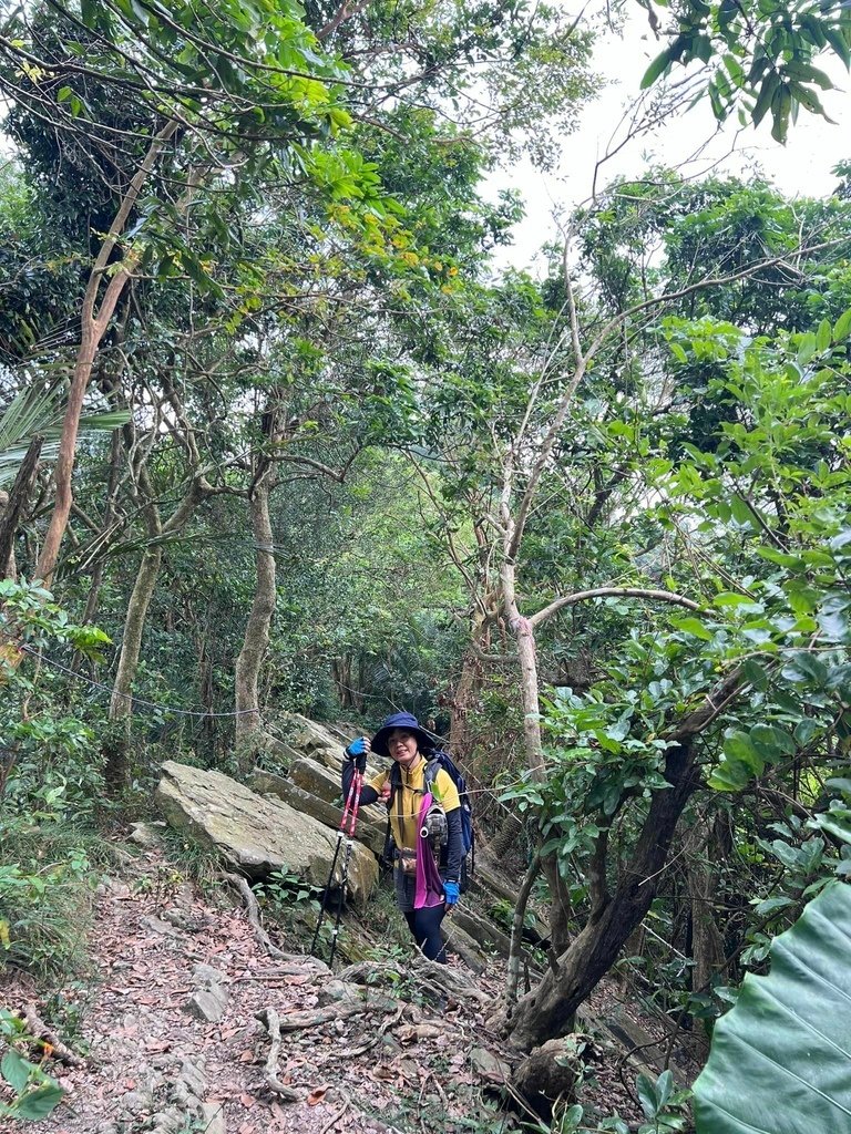 【台南南化】烏山南段:石松子山-紫竹寺-王爺崙山稜線來回