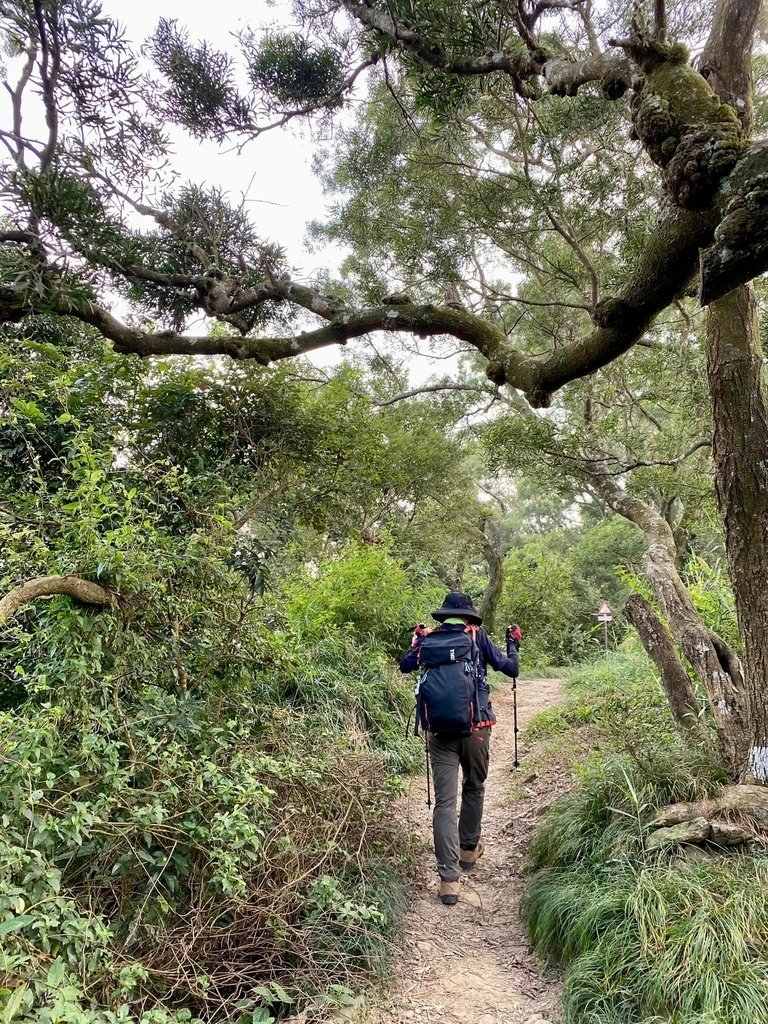 【台南南化】烏山南段:石松子山-紫竹寺-王爺崙山稜線來回