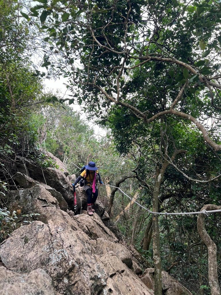 【台南南化】烏山南段:石松子山-紫竹寺-王爺崙山稜線來回
