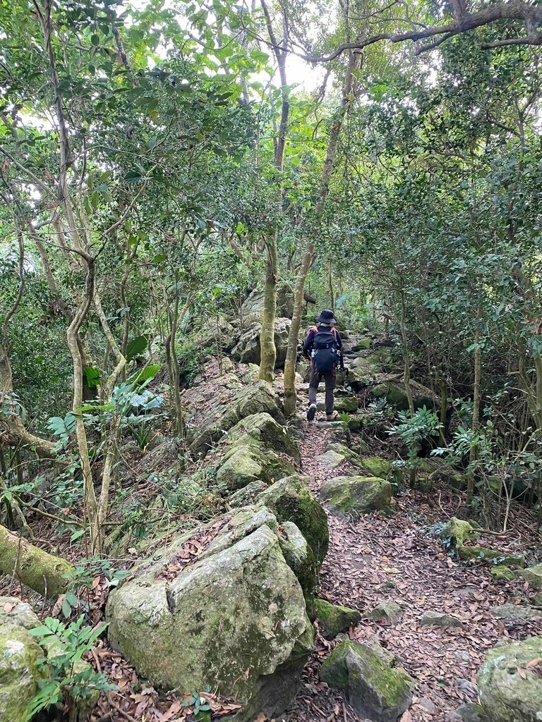 【台南南化】烏山南段:石松子山-紫竹寺-王爺崙山稜線來回