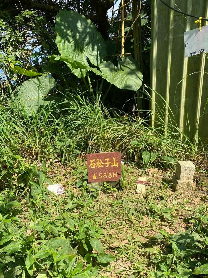 【台南南化】烏山南段:石松子山-紫竹寺-王爺崙山稜線來回