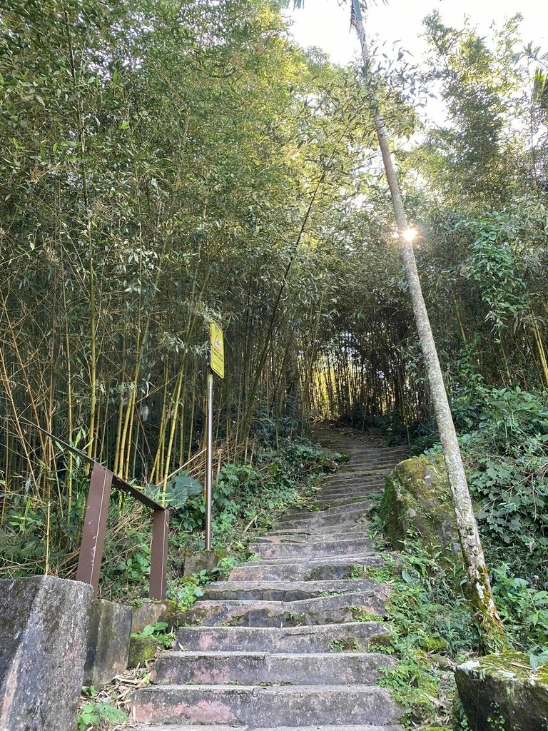 【雲林古坑】華山5號步道-4-2步道-二尖-大尖-大眾廟環線