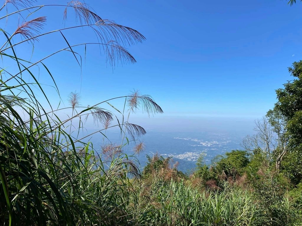 【雲林古坑】華山5號步道-4-2步道-二尖-大尖-大眾廟環線