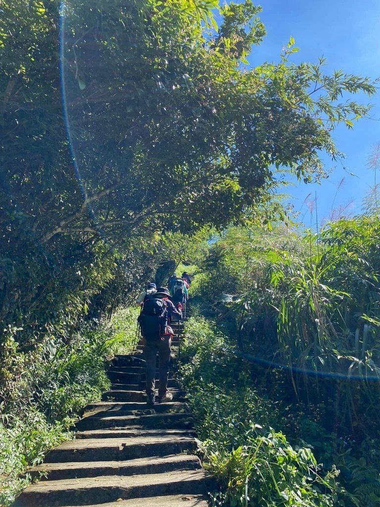 【雲林古坑】華山5號步道-4-2步道-二尖-大尖-大眾廟環線