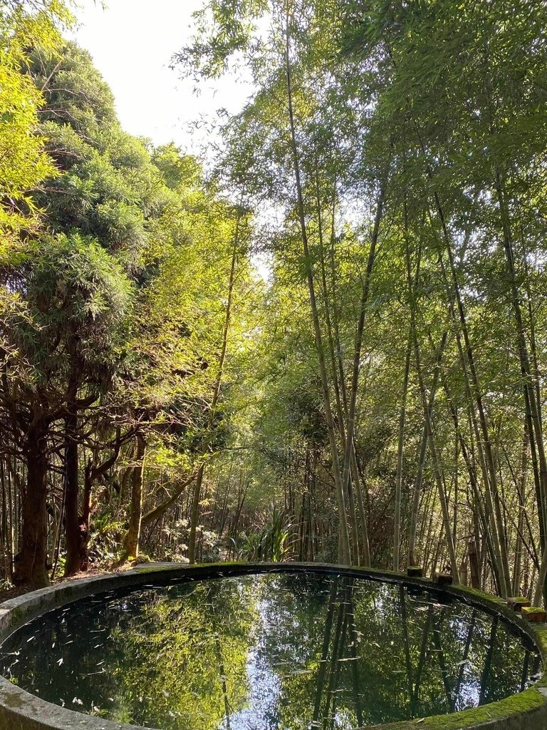 【雲林古坑】華山5號步道-4-2步道-二尖-大尖-大眾廟環線