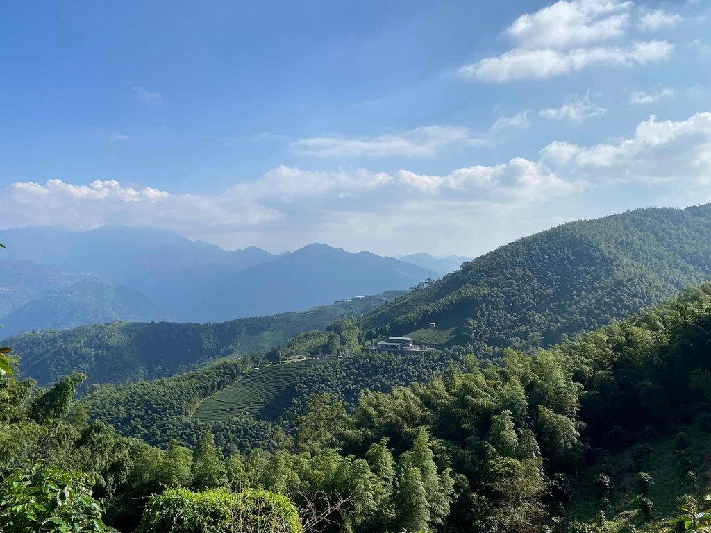 【雲林古坑】華山5號步道-4-2步道-二尖-大尖-大眾廟環線