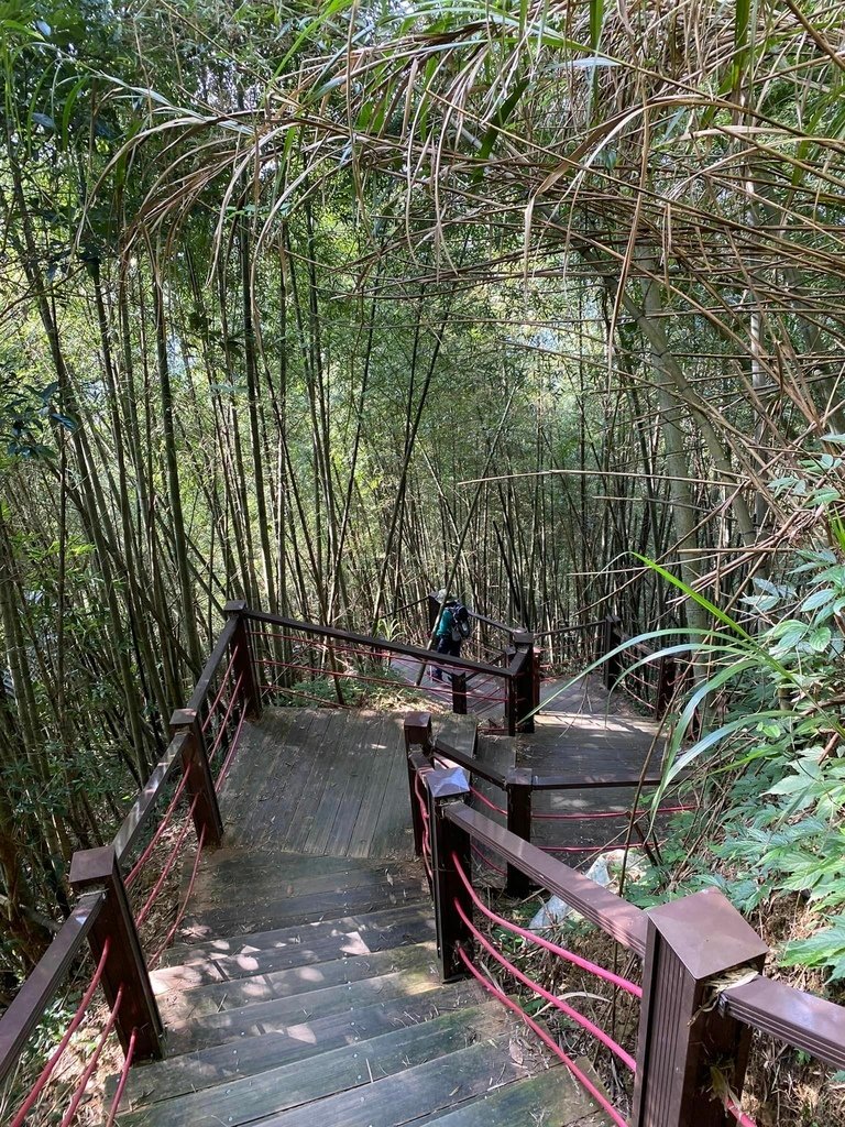 【雲林古坑】華山5號步道-4-2步道-二尖-大尖-大眾廟環線