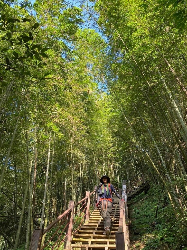 【雲林古坑】華山5號步道-4-2步道-二尖-大尖-大眾廟環線