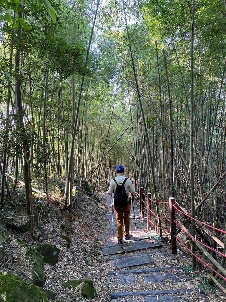 【雲林古坑】華山5號步道-4-2步道-二尖-大尖-大眾廟環線
