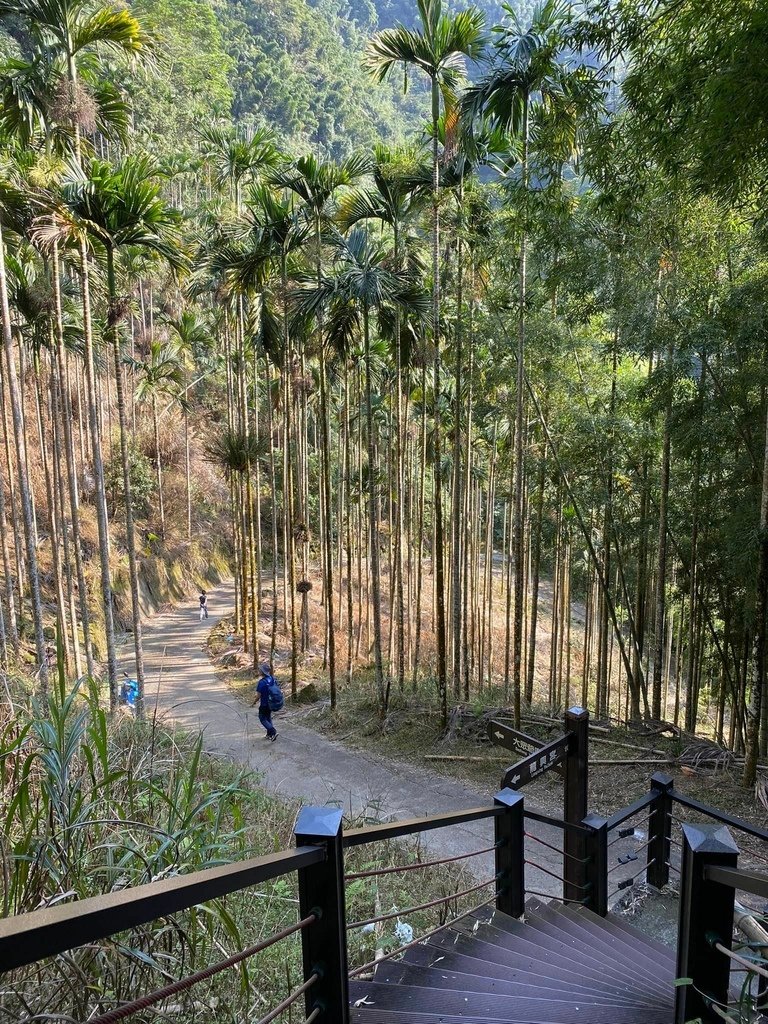 【雲林古坑】華山5號步道-4-2步道-二尖-大尖-大眾廟環線