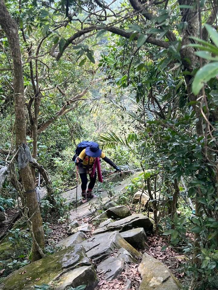 【台南南化】烏山南段:石松子山-紫竹寺-王爺崙山稜線來回