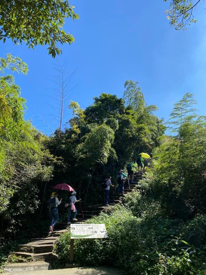 【雲林古坑】華山5號步道-4-2步道-二尖-大尖-大眾廟環線
