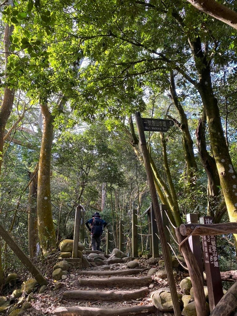 【台中北屯】大坑1-5號步道8字環形走