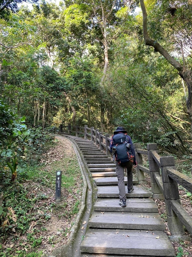 【台中北屯】大坑6-7+9-10號步道分段走