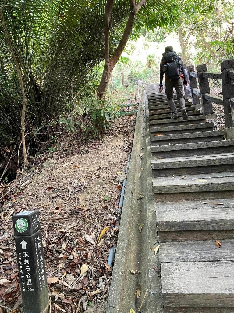 【台中北屯】大坑6-7+9-10號步道分段走