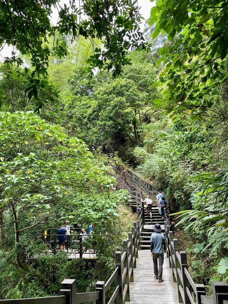 【台中北屯】大坑6-7+9-10號步道分段走