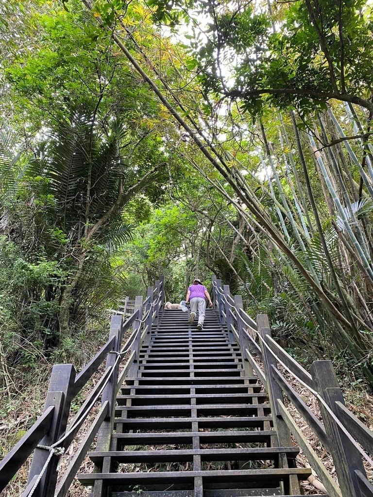 【台中北屯】大坑6-7+9-10號步道分段走