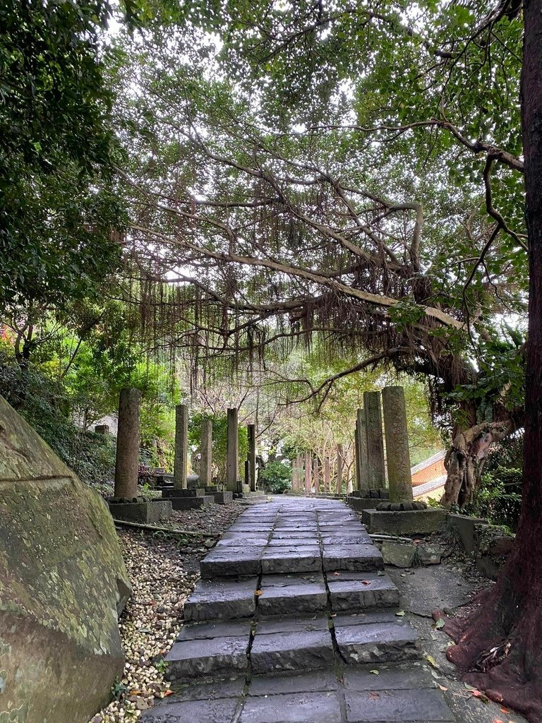 【宜蘭頭城】草嶺古道&amp;桃源谷草嶺線