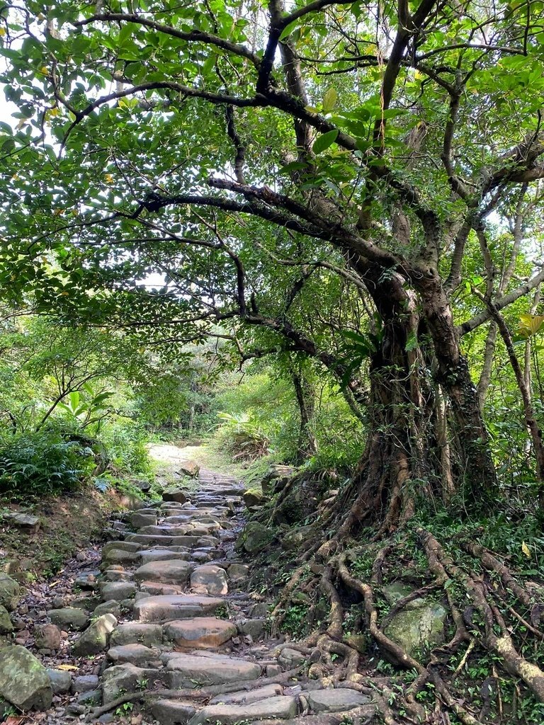 【宜蘭頭城】草嶺古道&amp;桃源谷草嶺線